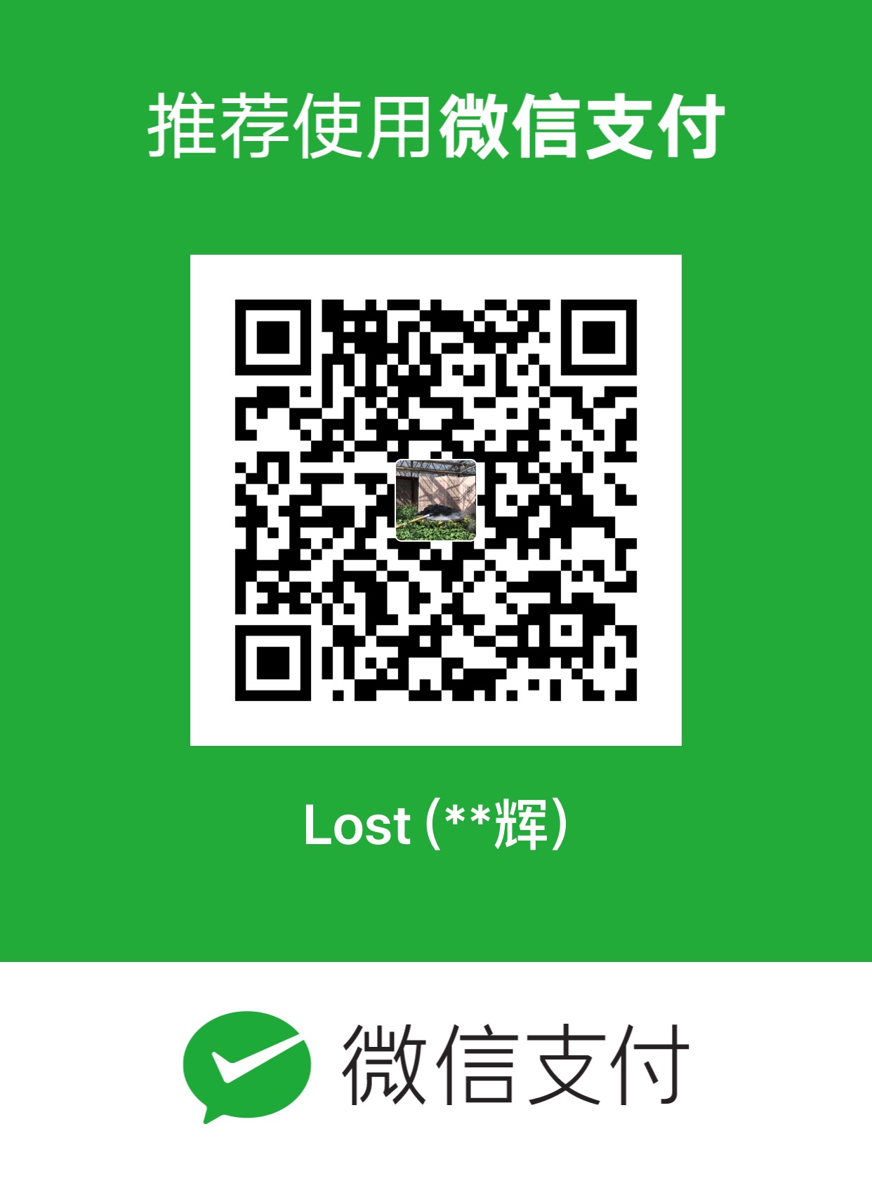 王召辉 微信支付